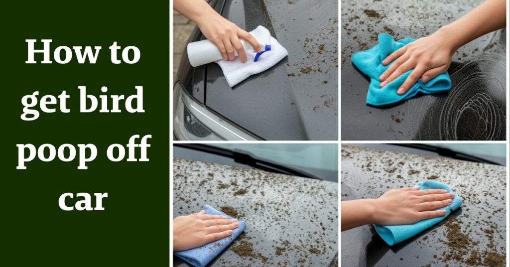 How to Get Bird Poop Off Your Car